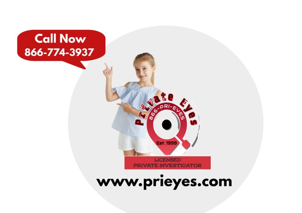 Child Custody Investigator